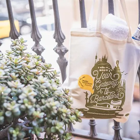 ゲストハウス オスタル マレノストゥルム