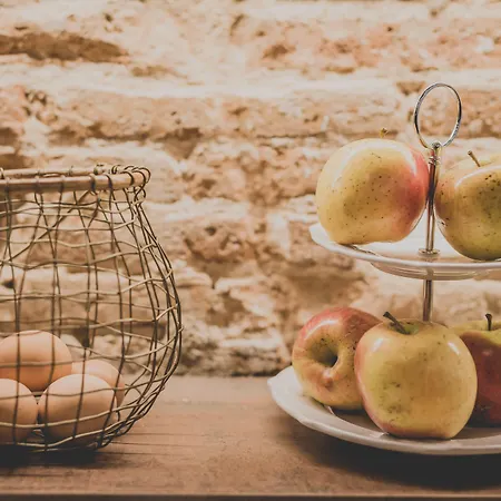 オスタル マレノストゥルム